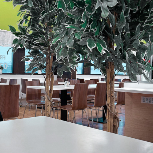Lunchrestaurang bild innifrån